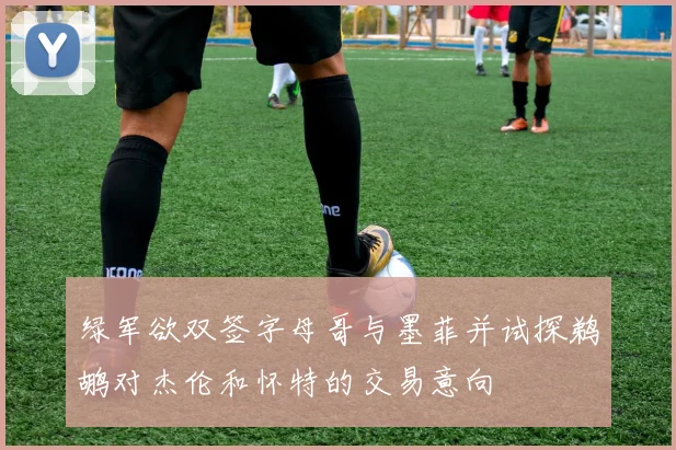 绿军欲双签字母哥与墨菲并试探鹈鹕对杰伦和怀特的交易意向